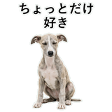 855964952