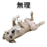 855964960