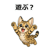 855964993