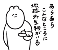 855965325