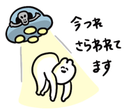 855965338