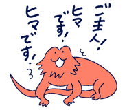 855965416