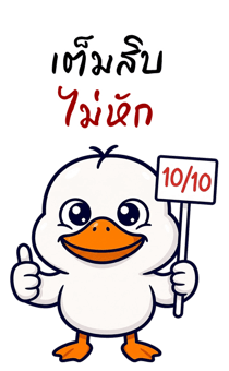 855966562