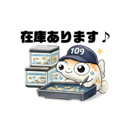 855966811
