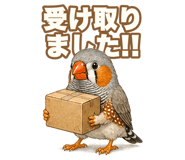 855966837