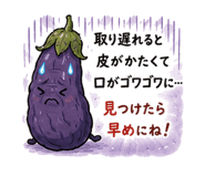 855970982
