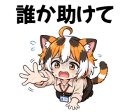 855975402