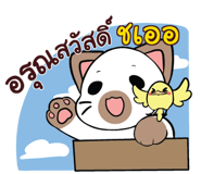 856004961