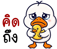 856009008