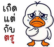 856009009