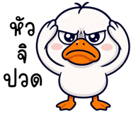 856009016