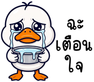 856009020
