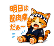 856009301