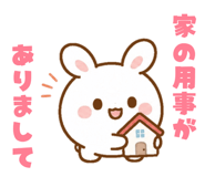 856010017