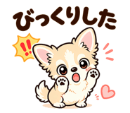 856010296