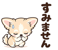 856010297