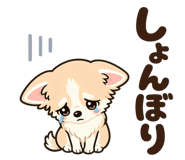 856010303