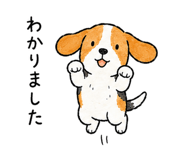 856010701