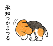 856010714