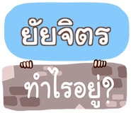 856016561
