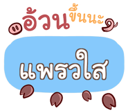 856017347