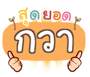 856018062