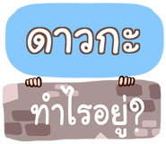856018081