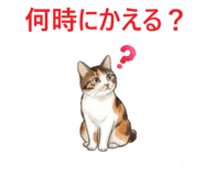 856019899