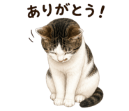 856020196