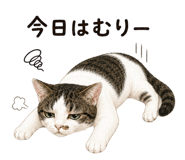 856020203