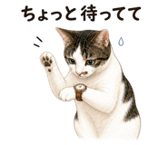 856020205