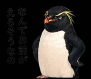 856020530