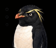856020535