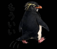 856020536