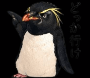856020538