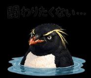856020539