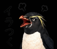 856020541