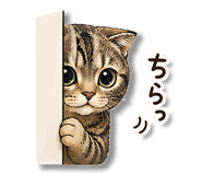 856021620