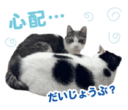 856021651