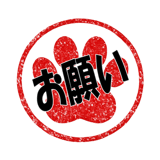 856022293