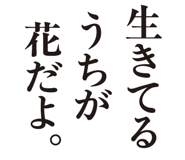 856022477