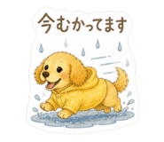 856022696