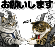 856023181