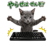 856023370