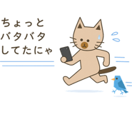 856023738
