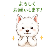 856024155