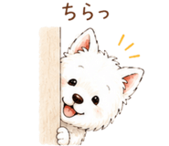 856024181