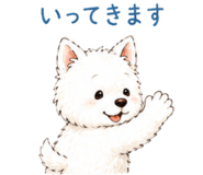 856024184