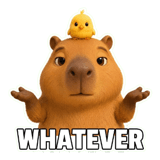 856025433