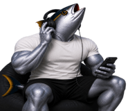 856025795